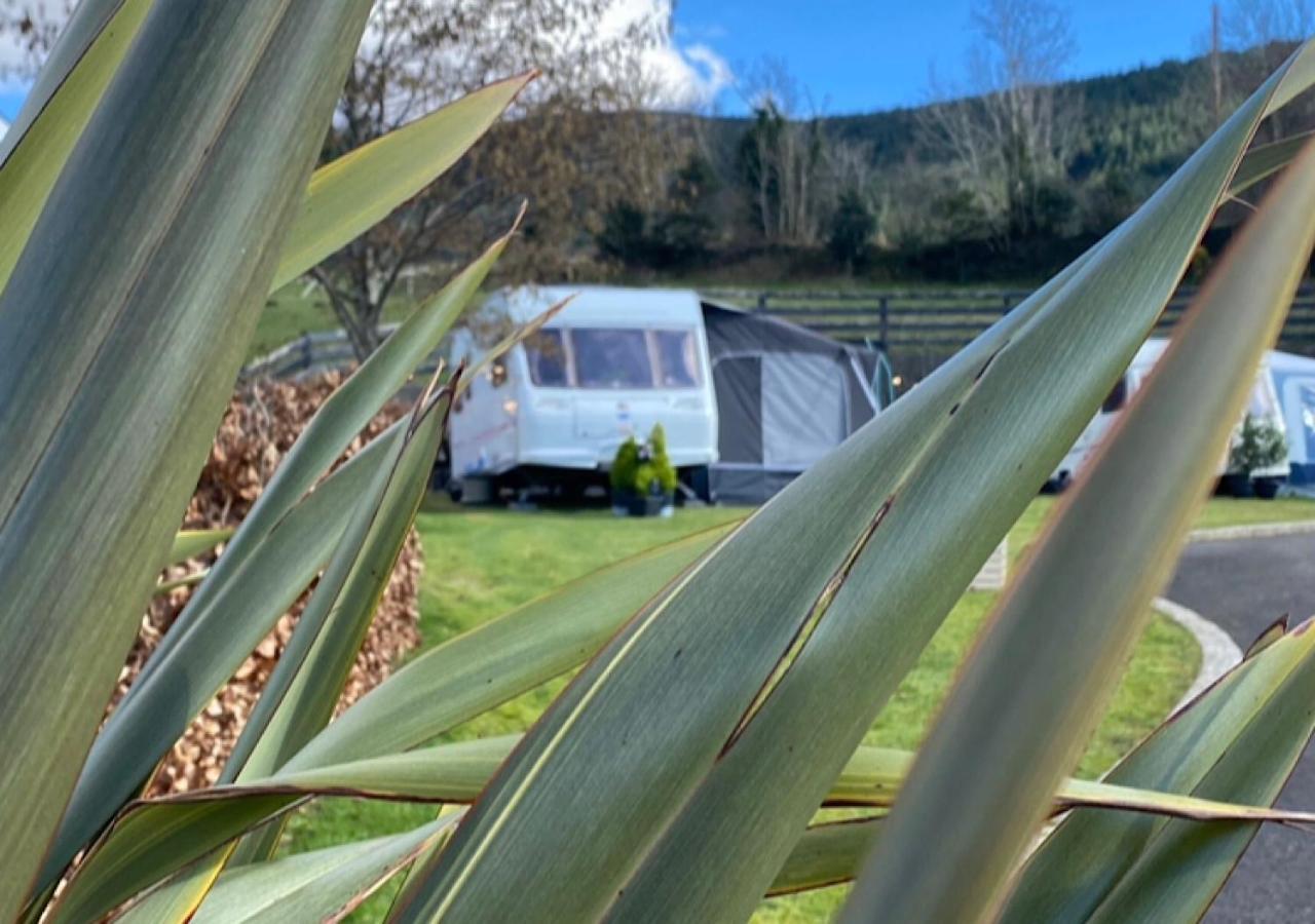 Rostrevor Valley Caravans With Private Hot Tub Kültér fotó