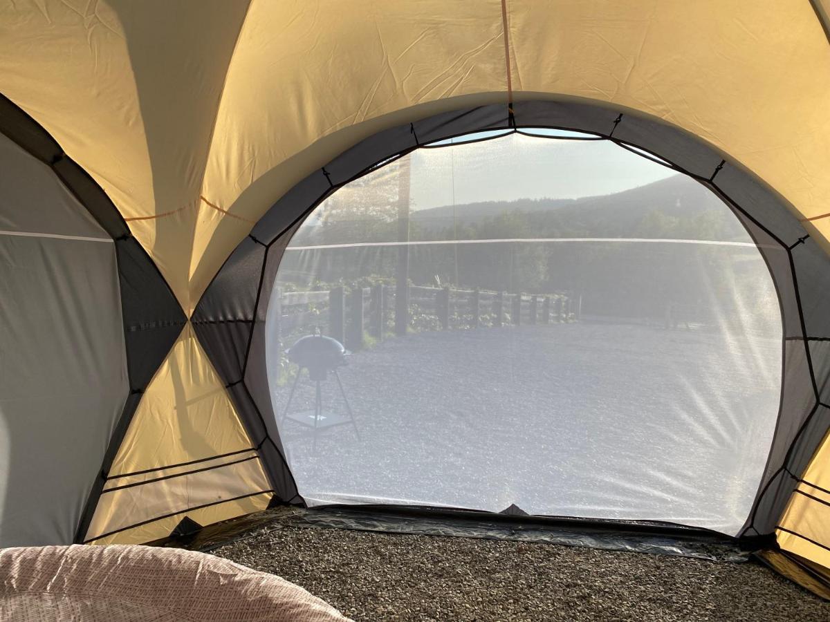 Rostrevor Valley Caravans With Private Hot Tub Kültér fotó